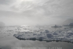 Nansen 0396 45